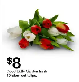 Target Good Little Garden fresh 10-stem cut tulips offer