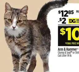 Dollar General Arm & Hammer Clump & Seal TM or Slide Cat Litter offer
