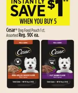 Dollar General Cesar Dog Food Pouch offer