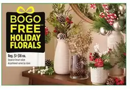 Dollar General HOLIDAY FLORALS offer