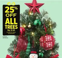 Dollar General Excludes Tree Toppers and Ornaments offer