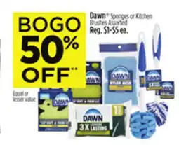 Dollar General Dawn Sponges or Kitchen Brushes offer