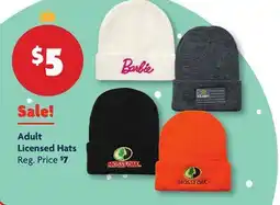 Family Dollar Adult Licensed Hats offer