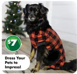 Dollar Tree Dress Your Pets to Impress! offer