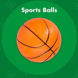 Dollar Tree Sports Balls offer