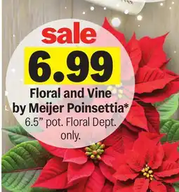 Meijer Floral and Vine by Meijer Poinsettia offer