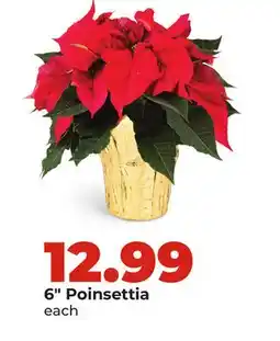Hy-Vee 6 Poinsettia offer
