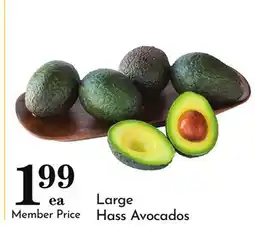 Pavilions Large Hass Avocados offer