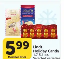 Pavilions Lindt Holiday Candy offer