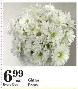 Pavilions Glitter Poms offer