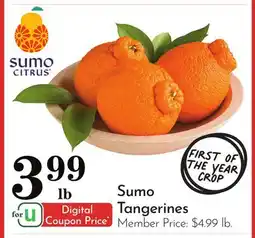 Pavilions Sumo Tangerines offer