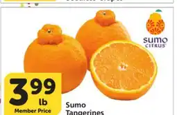 Albertsons Sumo Tangerines offer