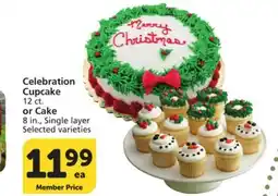 Albertsons Celebration Cupcake 12 ct. or Cake 8 in., Single layer offer