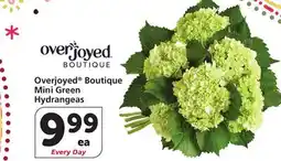 Vons Overjoyed Boutique Mini Green Hydrangeas offer