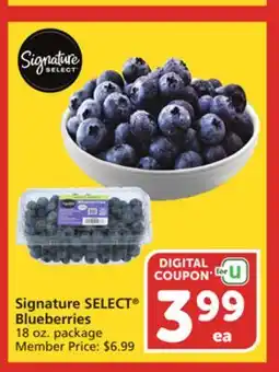 Vons Signature SELECT Blueberries offer