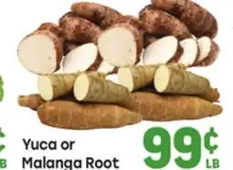 Tony’s Fresh Market Yuca or Malanga Root offer