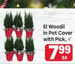 Tony’s Fresh Market El Woodii in Pot Cover offer