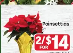 Tony’s Fresh Market Poinsettias offer