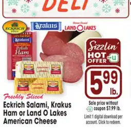 Jewel-Osco Freshly Sliced Eckrich Salami, Krakus Ham or Land O Lakes American Cheese offer