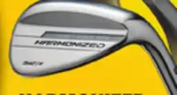 Big 5 Wilson Men's Harmonized 25 Golf Wedge offer