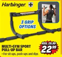 Big 5 Harbinger Multi-Gym Sport Pull-Up Bar offer
