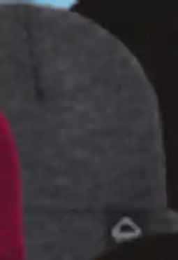 Big 5 Wolverine Watch Cap offer