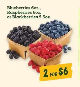 Sprouts Farmers Market Blueberries 6oz., Raspberries 6oz. or Blackberries 5.6oz offer