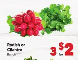 Vallarta Supermarkets Radish or Cilantro offer