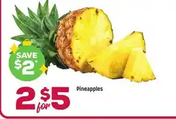 Grocery Outlet Pineapples offer