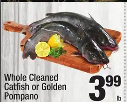 Super King Markets Whole Cleaned Catfish or Golden Pompano offer