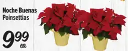 El Super Poinsettias offer