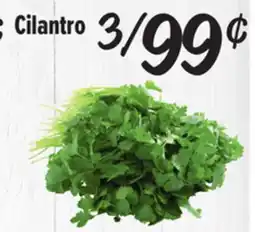El Super Cilantro offer