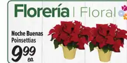 El Super Fresh Noche Buenas Poinsettias offer