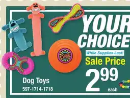 Menards Dog Toys offer
