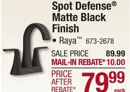 Menards Spot Defense Matte Black Finish offer