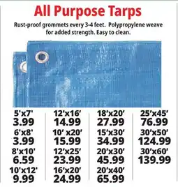 Ocean State Job Lot All Purpose Tarps offer