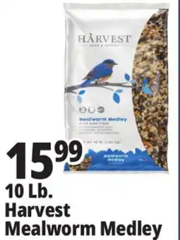 Ocean State Job Lot Harvest Seed & Supply Mealworm Medley Wild Bird Food 10 lb offer