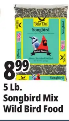 Ocean State Job Lot Better Bird Songbird Better Blends Food 5 lbs offer