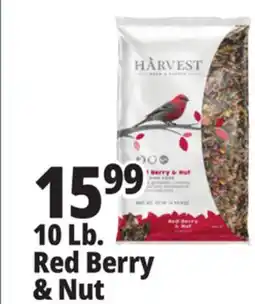 Ocean State Job Lot Harvest Seed & Supply Red Berry & Nut Wild Bird Food 10 lb offer