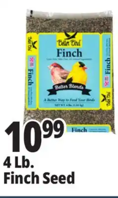 Ocean State Job Lot Better Bird Finch Bird Food 4 lbs offer