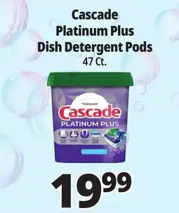 Ocean State Job Lot Cascade Platinum Plus Dish Detergent Pods offer