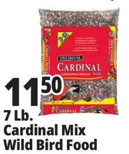 Ocean State Job Lot Better Bird Premium Cardinal Blend Bird Food 7 lbs offer