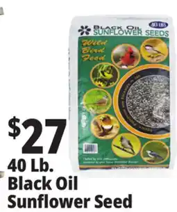 Ocean State Job Lot Black Oil Sunflower Seeds 40 lbs offer