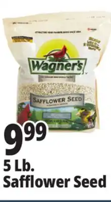 Ocean State Job Lot Wagner's Safflower Seed Deluxe Wild Bird Food offer