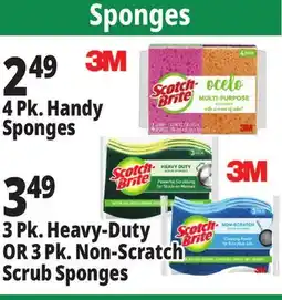 Ocean State Job Lot Sponges offer