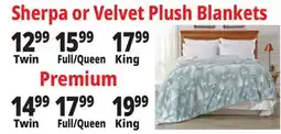 Ocean State Job Lot Velvet Plush Blankets offer