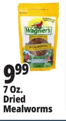 Ocean State Job Lot Wagner's Bird Meal Worms 7oz offer