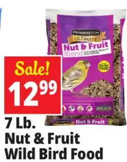 Ocean State Job Lot Pennington Ultimate Nut & Fruit Blend Wild Bird Seed 7 lbs offer
