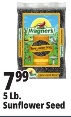 Ocean State Job Lot Wagner's Black Oil Sunflower Seed Wild Bird Food 5 lbs offer