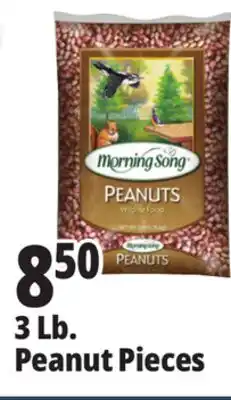 Ocean State Job Lot Morning Song Wildlife Food Peanuts 3 lbs offer